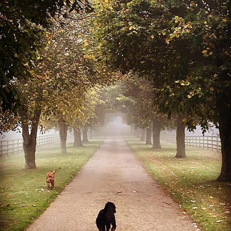 Potcote Farm Stables Accommodation Fudges Stable Towcester Dış mekan fotoğraf
